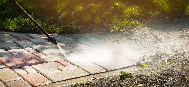 Best Spring Cleaning  in Roseau, MN